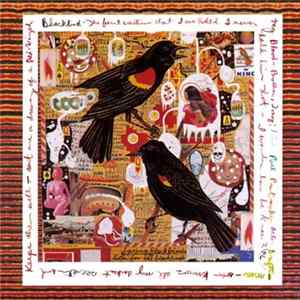 FLAC Steve Earle - Just An American Boy