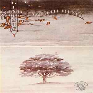 FLAC Genesis - Wind & Wuthering