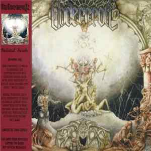FLAC Undercroft - Twisted Souls