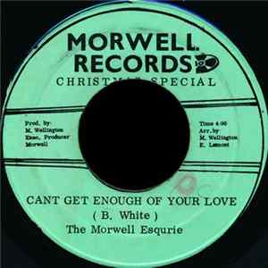 FLAC The Morwell Esquire - Cant Get Enough Of Your Love
