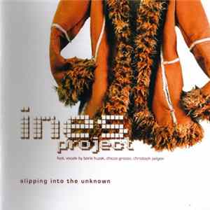 FLAC Ines Project - Slipping Into The Unknown