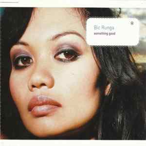 FLAC Bic Runga - Something Good