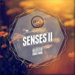 FLAC Various - Pure* Senses II - Selected Soulfood