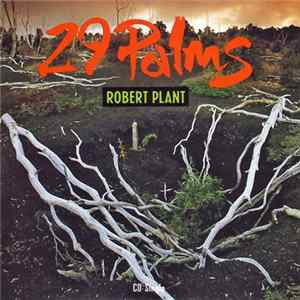 FLAC Robert Plant - 29 Palms