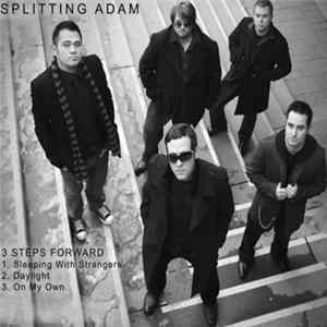 FLAC Splitting Adam - 3 Steps Foward