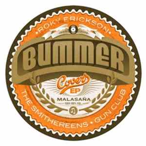 FLAC Bummer - Covers EP