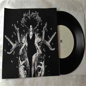FLAC Rot In Hell - Termini Terrae