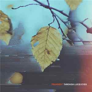 FLAC Through Lucid Eyes - Transient