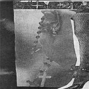FLAC Mutant Ape - I Would Never Shoot A Wolf