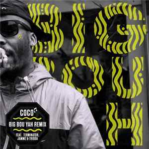 FLAC Coco - Big Bou Yah (Remixes)