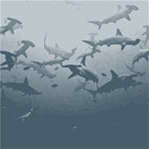FLAC Manes - #417 :: Disorient