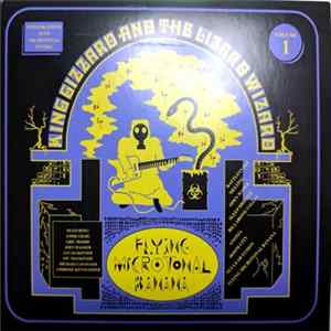 FLAC King Gizzard And The Lizard Wizard - Flying Microtonal Banana