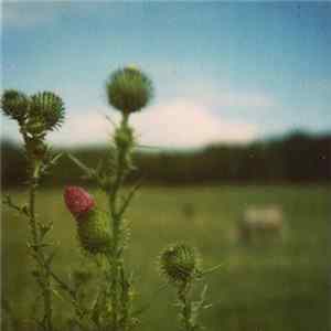 FLAC DR - Fragile