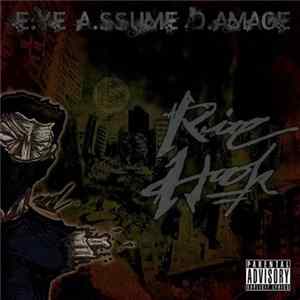 FLAC Rite Hook - E.ye A.ssume D.amage