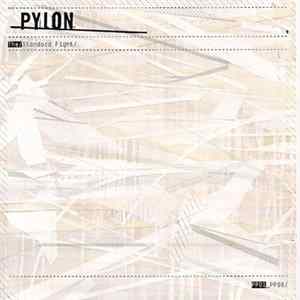 FLAC Pylon - The Standard Fight