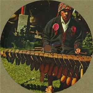 FLAC Steve Reich - Nagoya Marimba Remakes