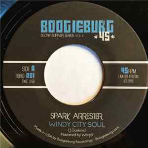 FLAC Spark Arrester - Slow Burner Series Vol. 1