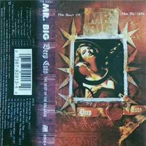 FLAC Mr. Big - Deep Cuts: The Best Of The Ballads