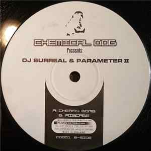 FLAC DJ Surreal & Parameter 2 - Cherry Bomb