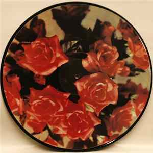 FLAC Closterkeller - Purple