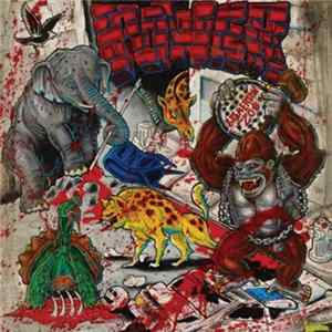 FLAC Power - Bremerton Zoo