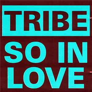 FLAC Tribe - So In Love