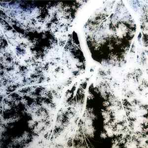 FLAC Caustic Reverie - Stochastic Resonance