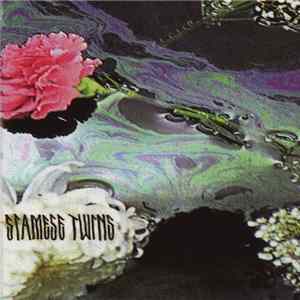 FLAC Siamese Twins - Demo