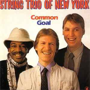 FLAC String Trio Of New York - Common Goal