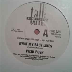 FLAC Push Push - What My Baby Likes