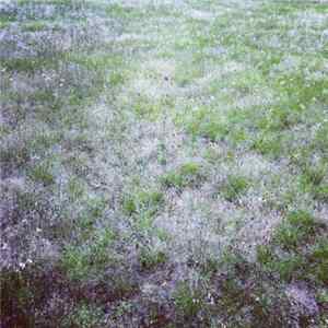 FLAC Gallery Six / Stabilo - Tense Silence