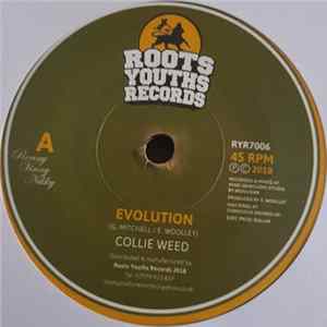 FLAC Collie Weed - Evolution