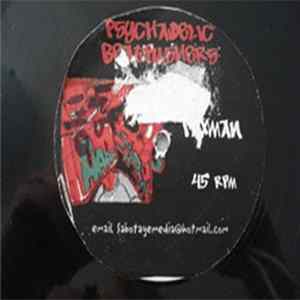 FLAC Psychadelic Beatpushers - Taxman