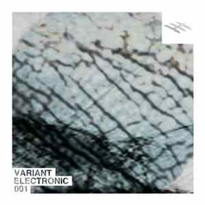 FLAC Various - Variant Electronic 001