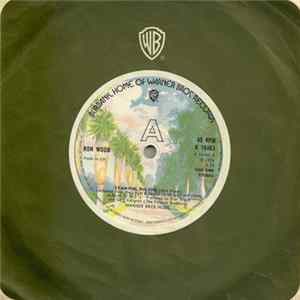 FLAC Ron Wood - I Can Feel The Fire