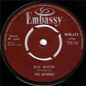 FLAC The Jaybirds / Terry Brandon - Go Now / Ferry Cross The Mersey