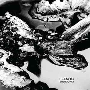 FLAC Flesho - Diddum2