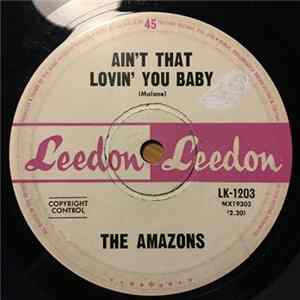FLAC The Amazons - Ain't That Lovin' You Baby