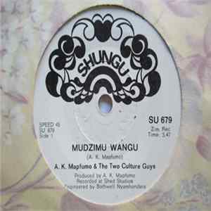 FLAC A. K. Mapfumo & The Two Culture Guys - Mudzimu Wangu / Ndakanga Ndaroyiwa