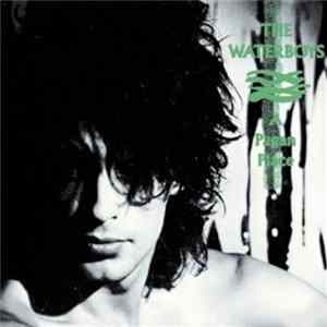 FLAC The Waterboys - A Pagan Place