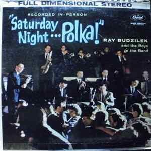 FLAC Ray Budzilek And The Boys In The Band - Saturday Night... Polka!