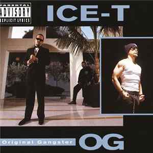 FLAC Ice-T - O.G. Original Gangster