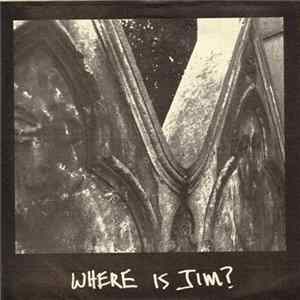 FLAC Eleventh Dream Day - Where Is Jim?