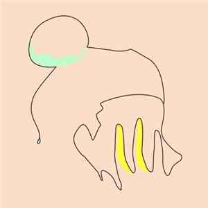 FLAC SWEAT - Sweat