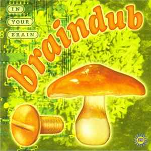 FLAC Braindub - In Your Brain
