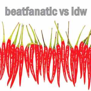 FLAC Beatfanatic Vs IDW - Beatfanatic Vs IDW