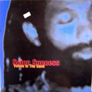 FLAC Scion Success - Voices In The Sand