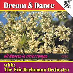 FLAC The Eric Bachmann Orchestra - Dream & Dance With The Eric Bachmann Orchestra