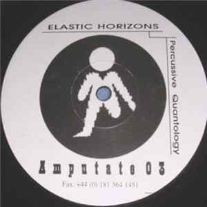 FLAC Elastic Horizons - Percussive Quantology