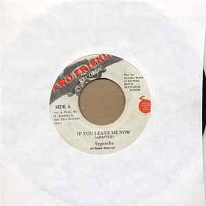FLAC Sygnacha - If You Leave Me Now
